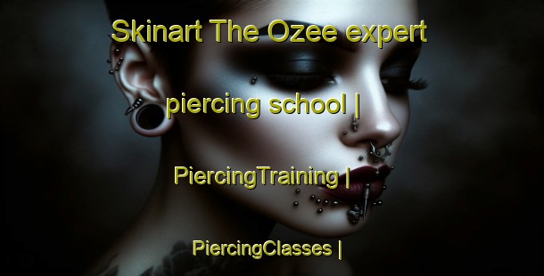 Skinart The Ozee expert piercing school | PiercingTraining | PiercingClasses | SkinartTraining-France